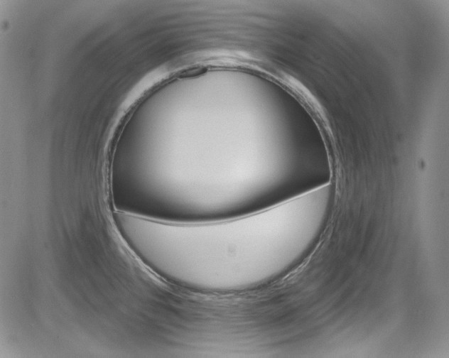 X0000085761384200703160852