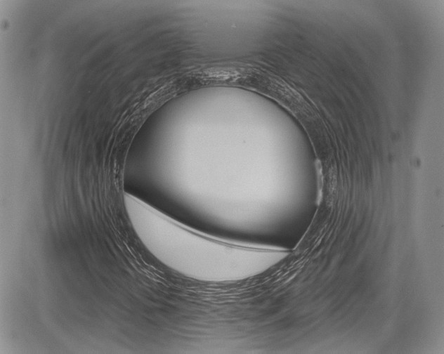 X0000085761394200703160851