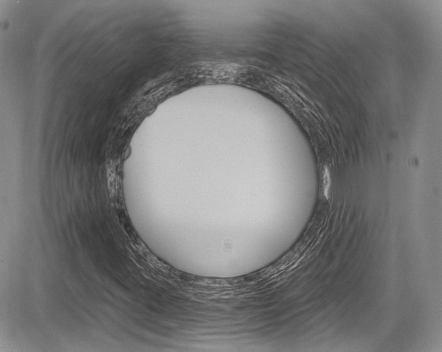 X0000085761395200703160851