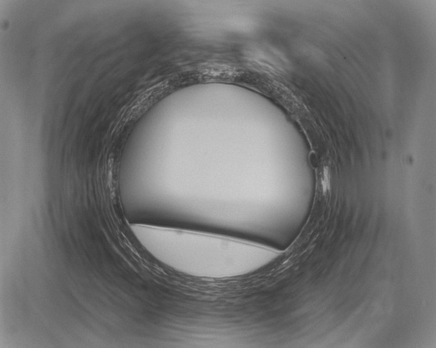 X0000085761396200703160851