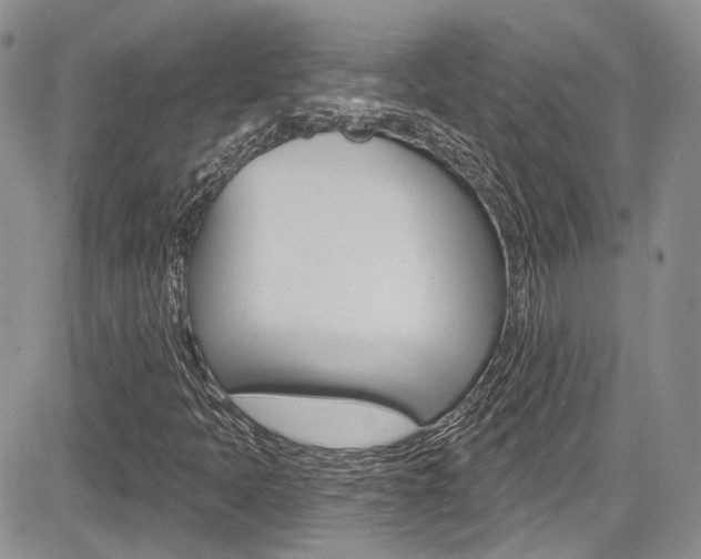 X0000085761397200703160851