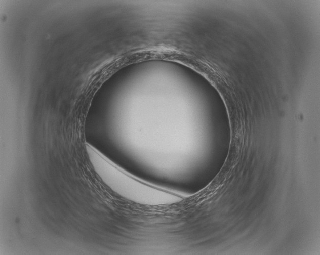 X0000085761398200703160851