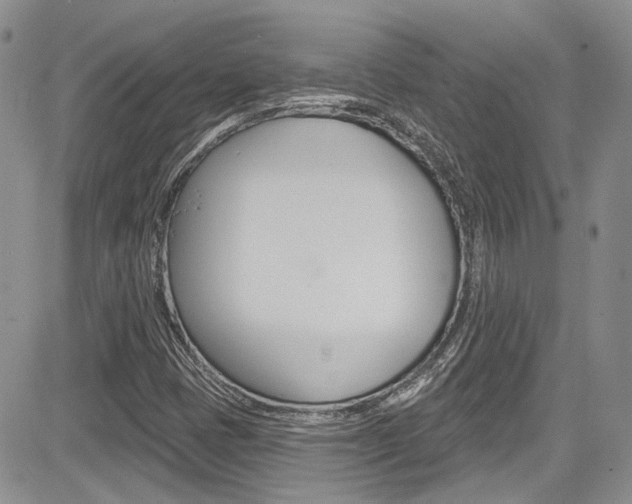 X0000085761401200703160851