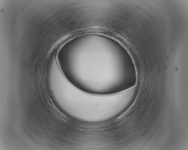 X0000085761402200703160851