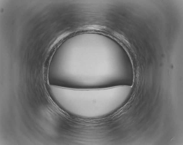 X0000085761404200703160851
