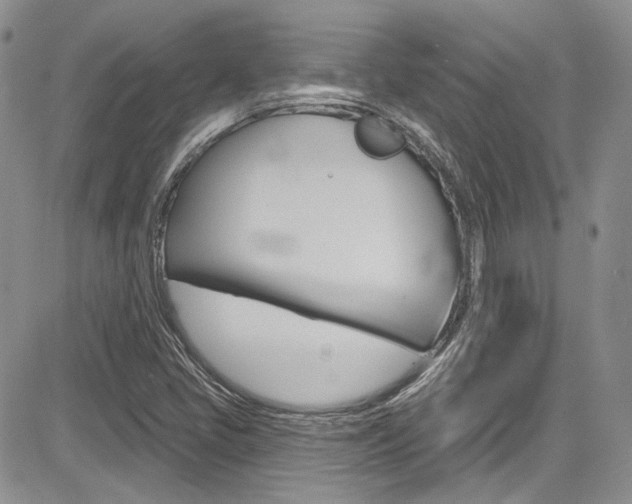 X0000085761405200703160851