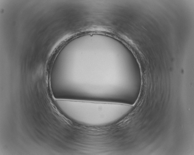 X0000085761408200703160851
