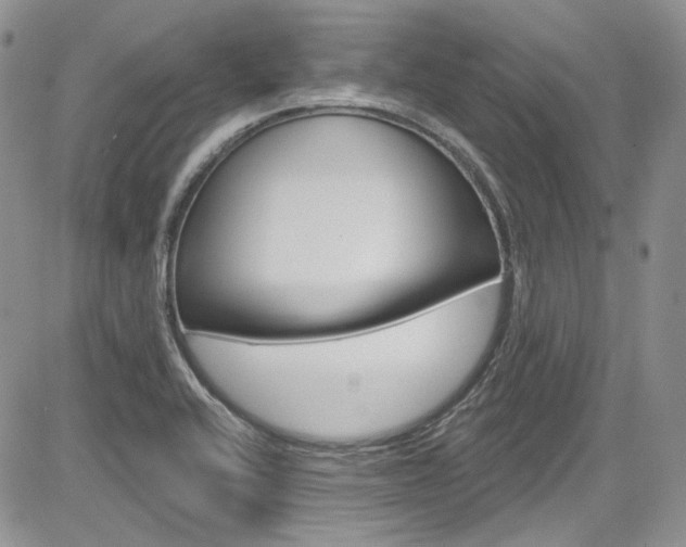 X0000085761416200703160852