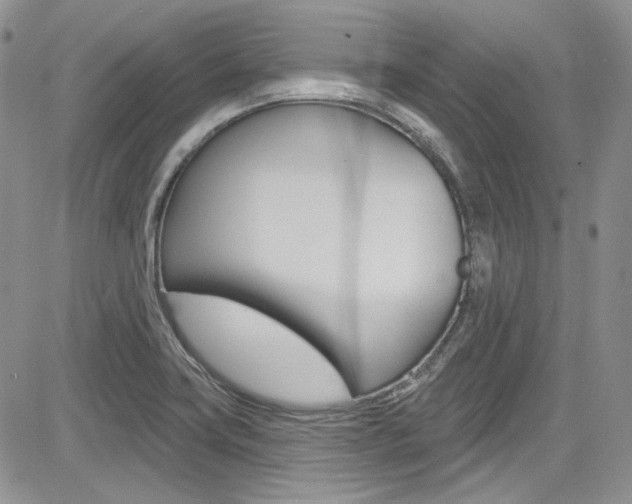 X0000085761419200703160852