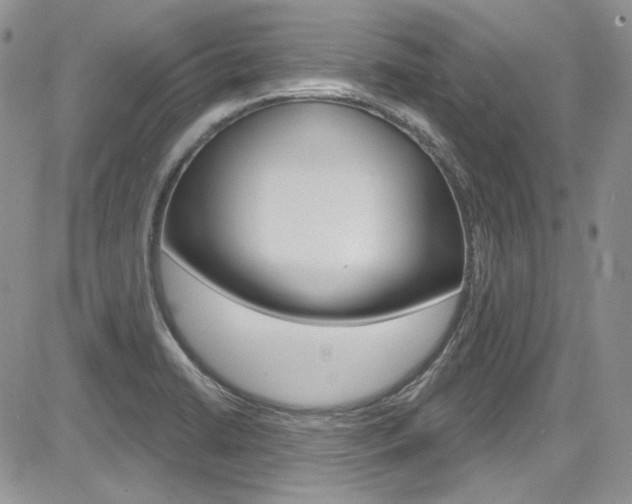 X0000085761422200703160852