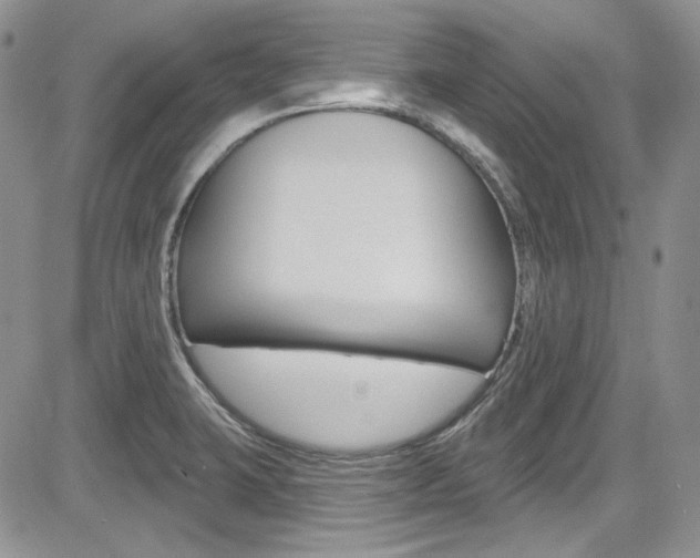 X0000085761423200703160852