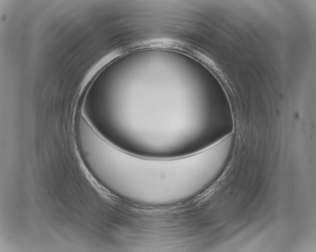 X0000085761426200703160852
