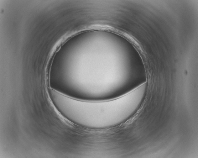 X0000085761430200703160852