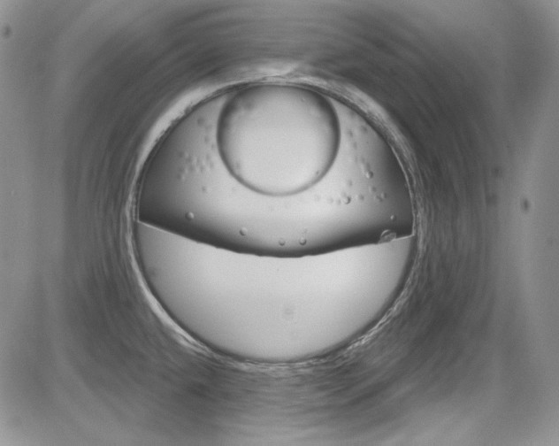X0000085761432200703160852
