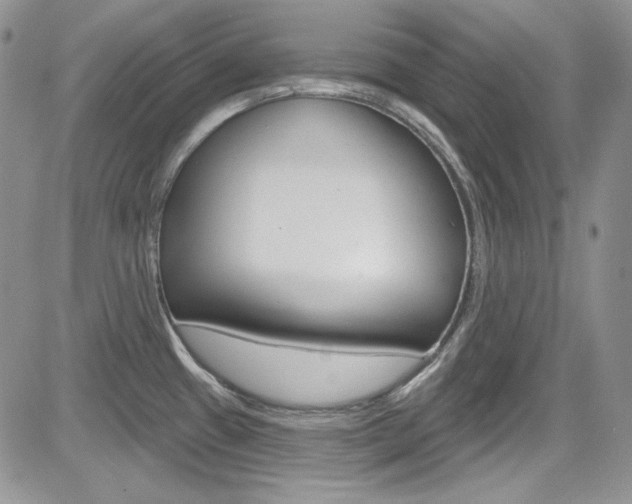 X0000085761433200703160852