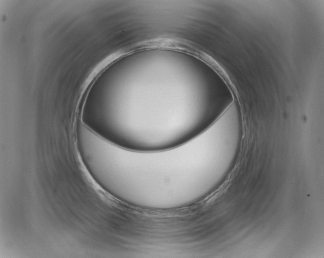 X0000085761434200703160852