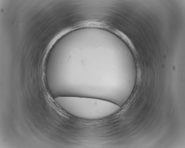 X0000085761435200703160852