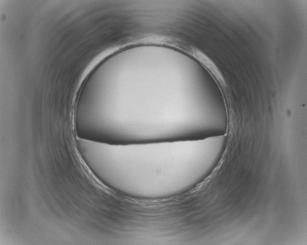 X0000085761436200703160852