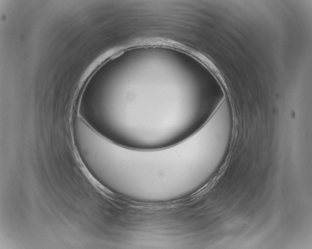 X0000085761438200703160852