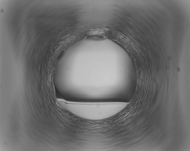 X0000085761441200703160851