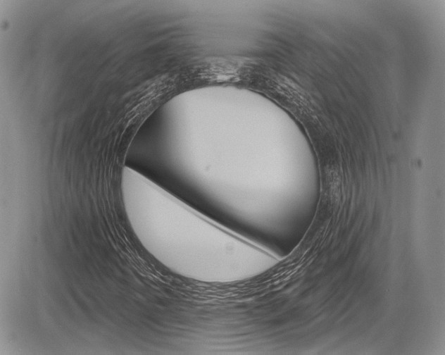 X0000085761442200703160851