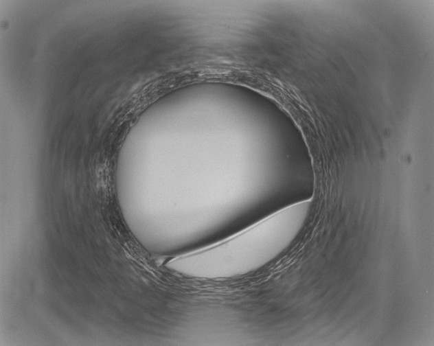 X0000085761445200703160851