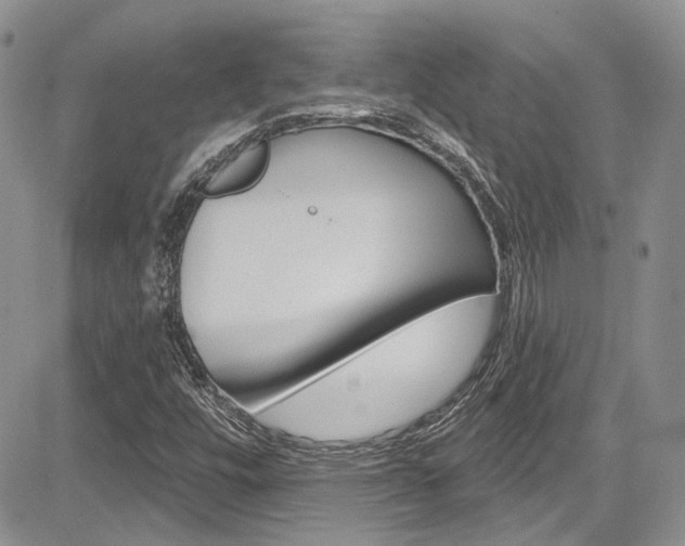 X0000085761448200703160851