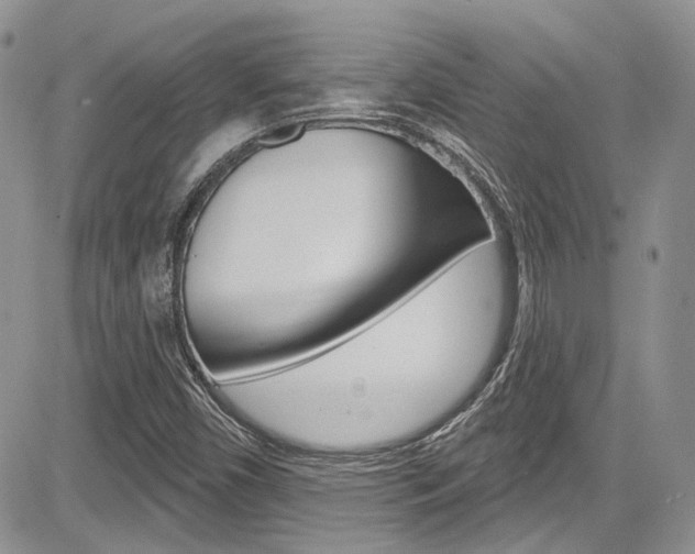 X0000085761450200703160851