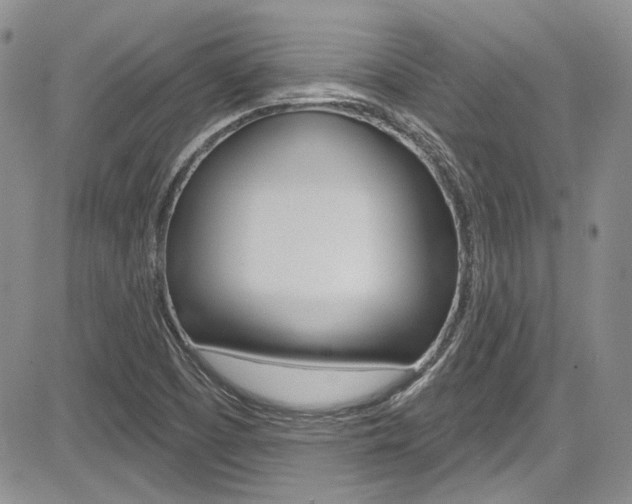 X0000085761457200703160851