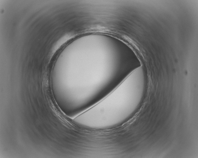 X0000085761458200703160851