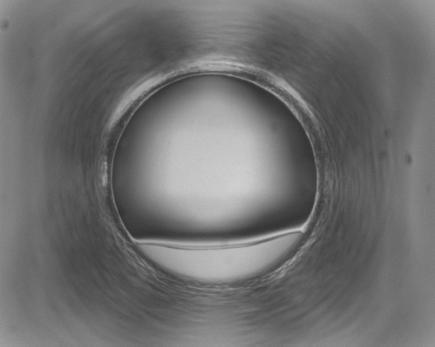 X0000085761461200703160851