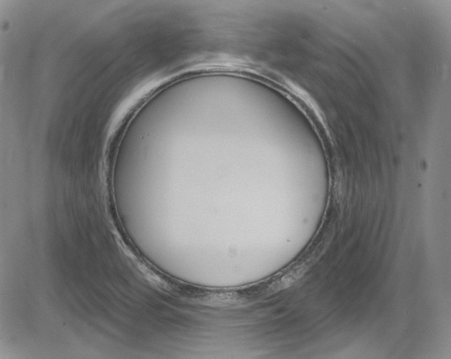 X0000085761464200703160851