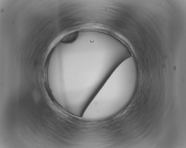X0000085761467200703160851