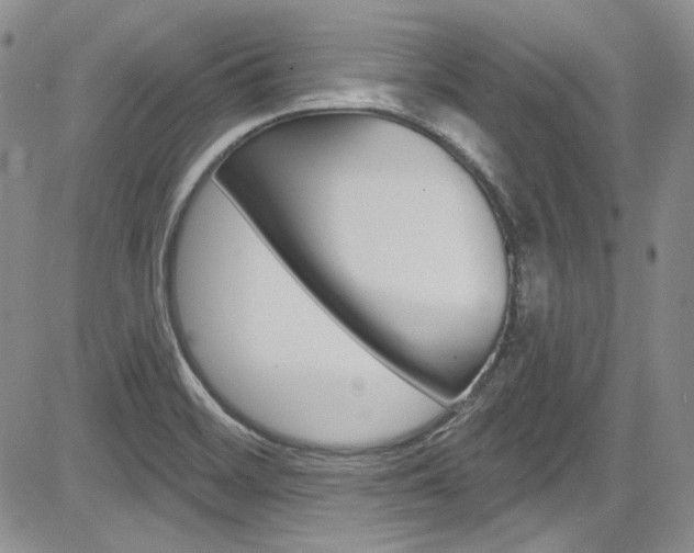 X0000085761468200703160851