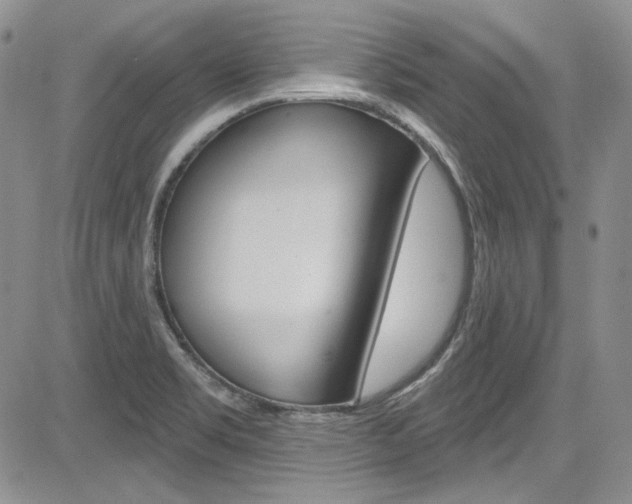 X0000085761469200703160851