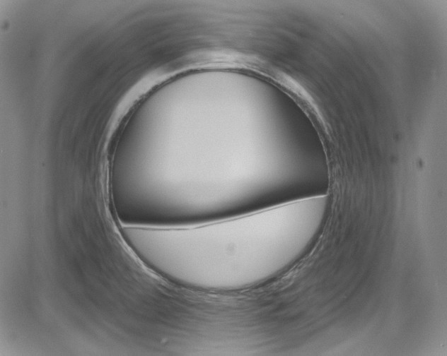 X0000085761472200703160851