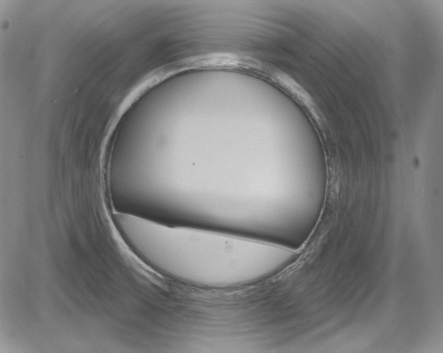X0000085761475200703160851