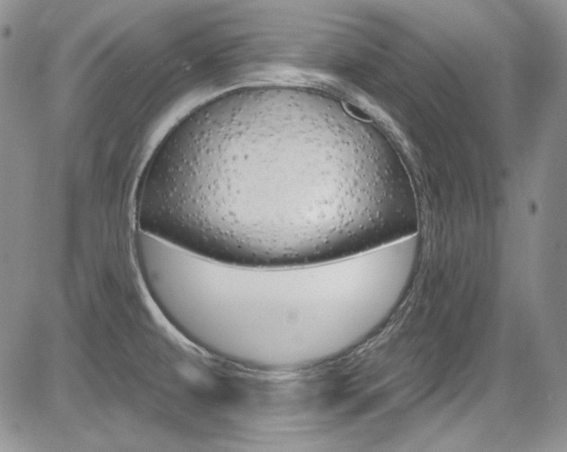 X0000085761479200703160851