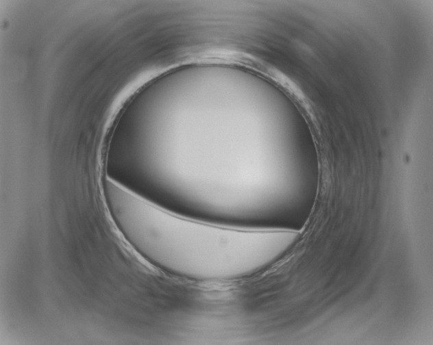 X0000085761480200703160851