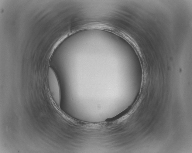 X0000085761481200703160851