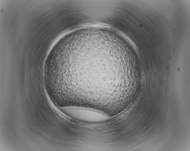 X0000085761483200703160850