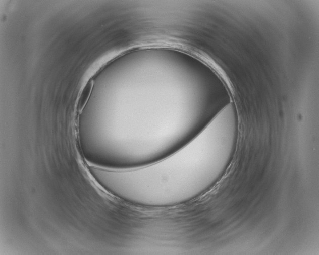 X0000085761485200703160850