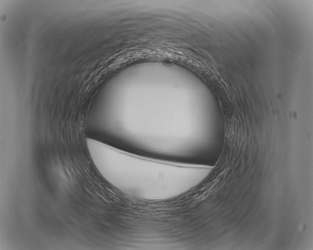 X0000085761490200703160850