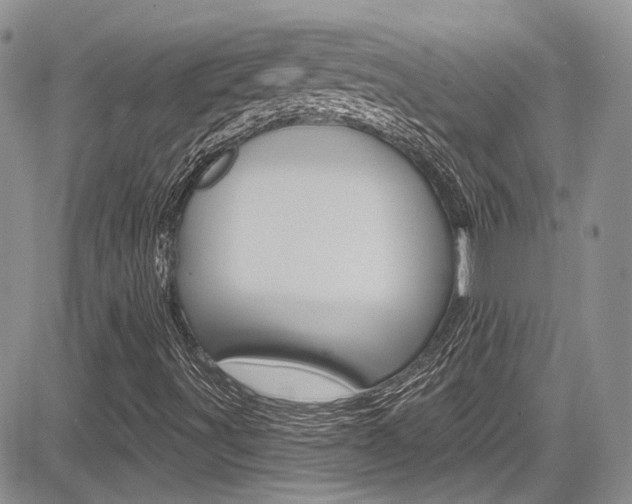 X0000085761491200703160850
