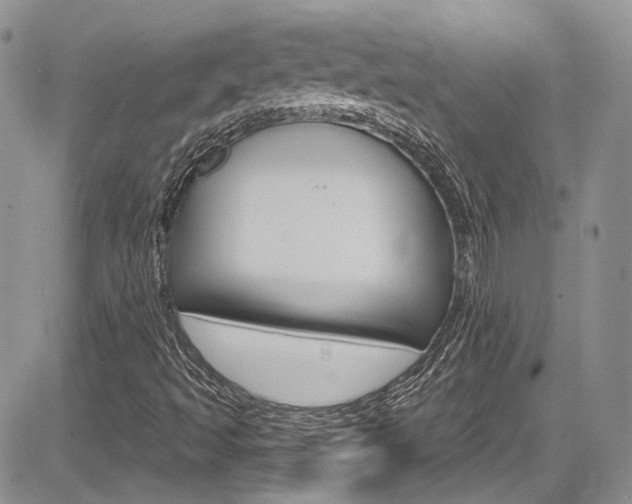 X0000085761493200703160850