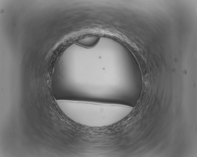 X0000085761495200703160850