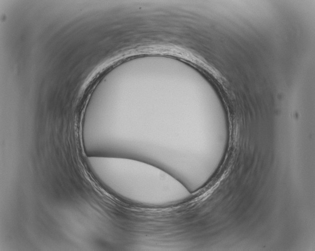 X0000085761498200703160850
