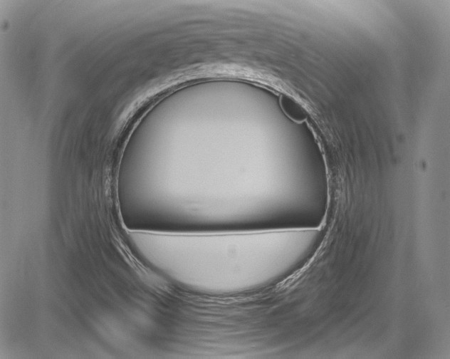 X0000085761499200703160850