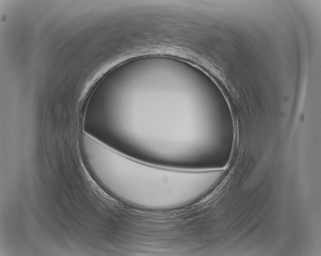 X0000085761500200703160850