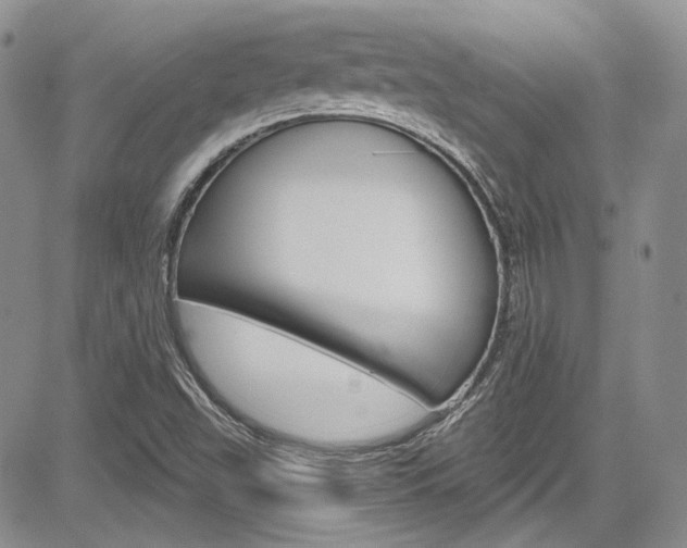 X0000085761503200703160850
